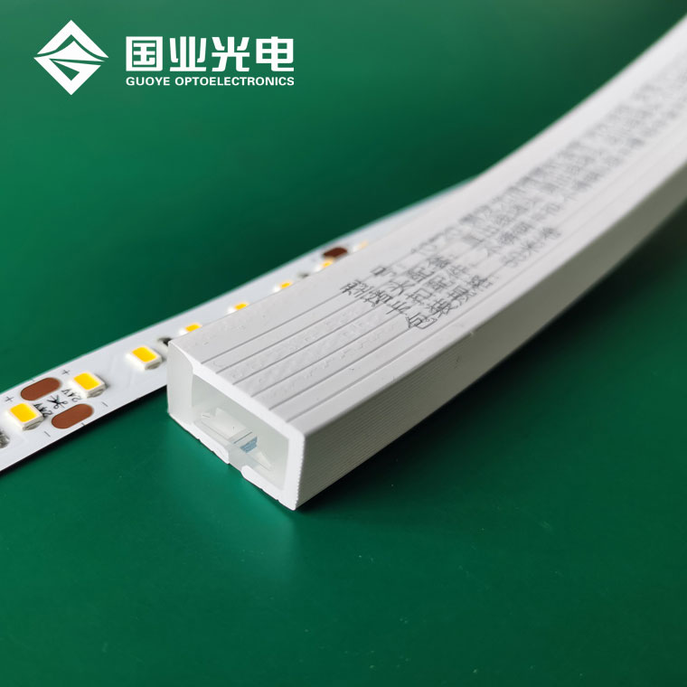 Neon flex led strip